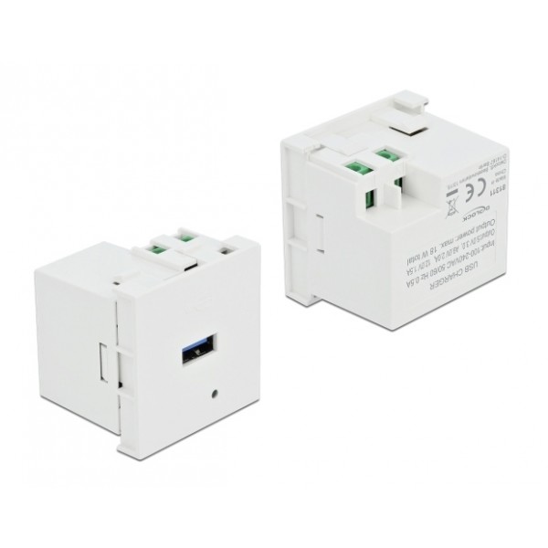 DELOCK module USB θύρα φόρτισης Easy 45 81311, 18W, 45x45mm, λευκό