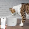 Tellur Smart WiFi Pet Water Dispenser 2L Έξυπνη τηλεχειριζόμενη WiFi Ποτίστρα/Συντριβάνι 2 λίτρων Γάτας/Σκύλου σε χρώμα λευκό