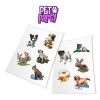 HoloToyz – Pet Party Augmented Reality #HTST100PetParty