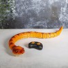 RC Snake (Anaconda) – Τηλεκατευθυνόμενο R/C Ανακόντα #80245