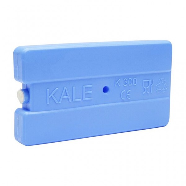 Παγοκύστη KALE Ice Box K300 0.3ltr