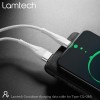 LAMTECH TYPE-C V2,0 HIGH QUALITY UNBREAKABLE CABLE SILVER 2M