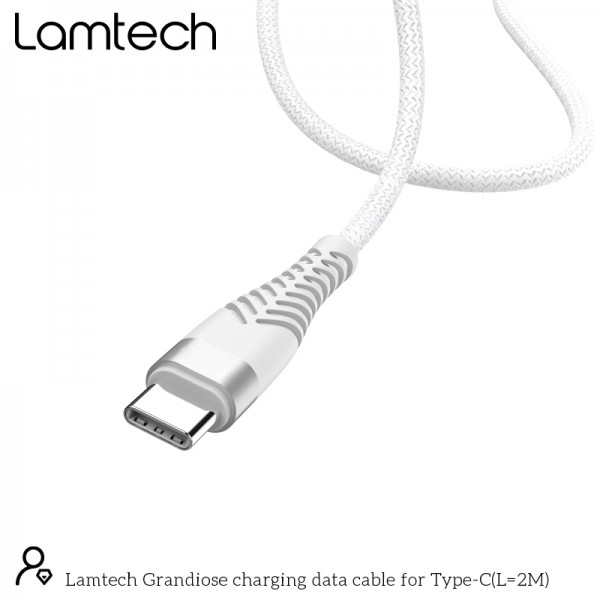 LAMTECH TYPE-C V2,0 HIGH QUALITY UNBREAKABLE CABLE SILVER 2M