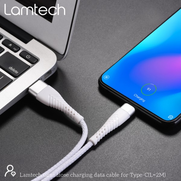 LAMTECH TYPE-C V2,0 HIGH QUALITY UNBREAKABLE CABLE SILVER 2M