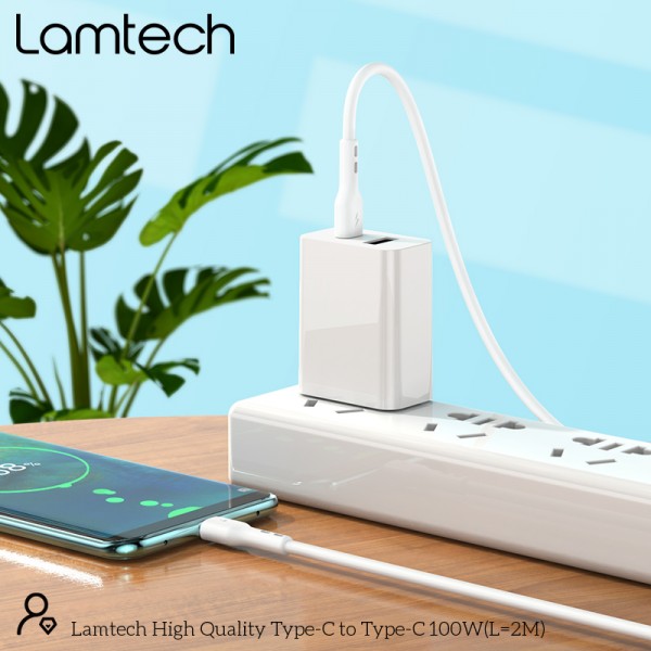 LAMTECH CABLE TYPE C TO TYPE C  100W FAST CHARGE 2M