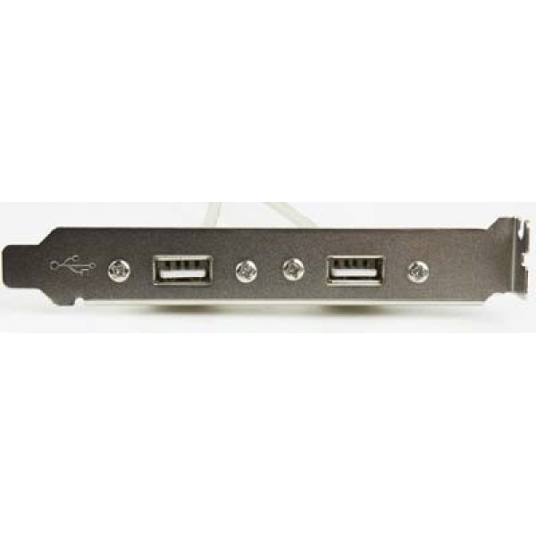 CABLEXPERT DUAL USB RECEPTACLES ON BRACKET