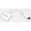 CABLEXPERT DISPLAY PORT TO HDMI ADAPTER WHITE