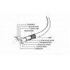 CABLEXPERT USB3.0 AM TO TYPE-C CABLE (AM/CM) 1m