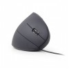 GEMBIRD ERGONOMIC 6-BUTTON OPTICAL MOUSE BLACK