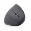 GEMBIRD WIRELESS ERGONOMIC 6-BUTTON OPTICAL MOUSE BLACK