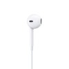 APPLE TYPE-C EARBUDS