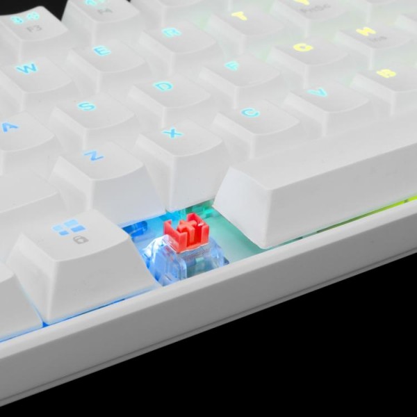 WHITE SHARK MECHANICAL KEYBOARD RED SWITCH SHINOBI WHITE