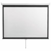 SBOX  MANUAL PROJECTOR SCREEN 240x180 CM