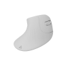 SBOX ERGONOMIC WIRELESS MOUSE WHITE