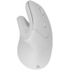 SBOX ERGONOMIC WIRELESS MOUSE WHITE