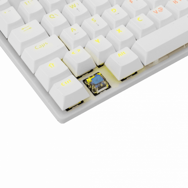 WHITE SHARK MECHANICAL KEYBOARD GK-2106 WHITE BLUE SWITCH