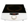 CAMRY ONE-FIELD INDUCTION COOKER