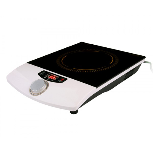 CAMRY ONE-FIELD INDUCTION COOKER