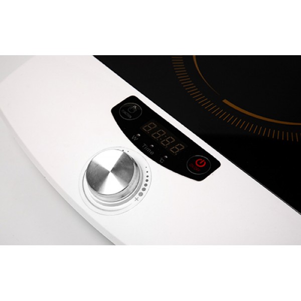 CAMRY ONE-FIELD INDUCTION COOKER