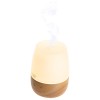 ADLER 3IN1 ULTRASONIC WOOD AROMA DIFFUSER