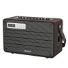 AIWA BT 5.0 TWS DSP ENIGMA LITE SPEAKER RMS 100W BROWN