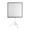 SBOX PROJECTOR SCREEN WITH TRIPOD 135' / 240x240CM