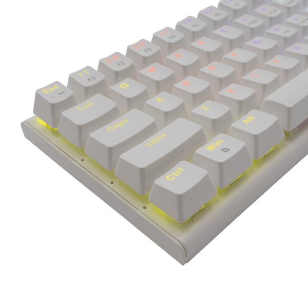 WHITE SHARK MECHANICAL KEYBOARD US BLUE SWITCH WAKIZASHI WHITE