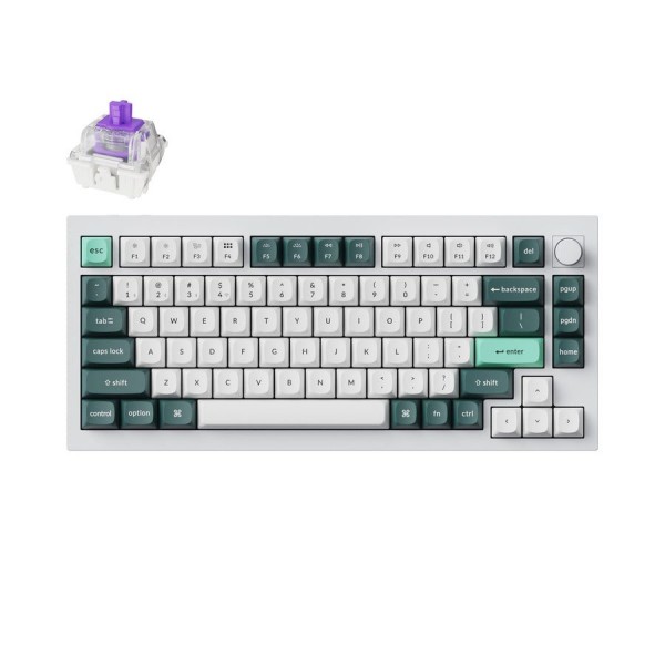 Keychron Q1 HE QMK (Q1H-P1) White Wireless Custom Hall Effect Keyboard Purple Switch US Layout