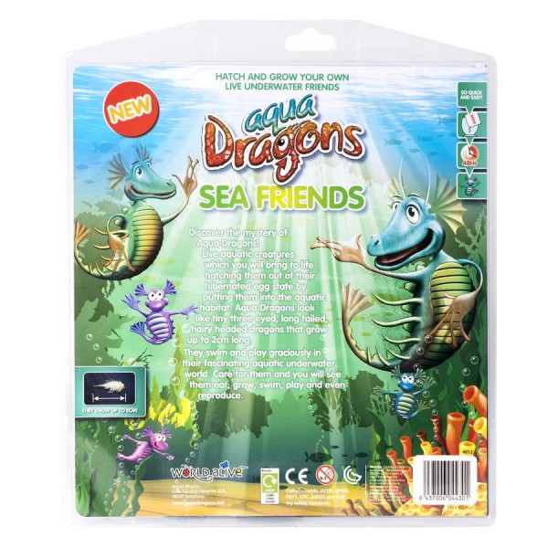 Aqua Dragons Special Edition Kit Sea Friends #4012