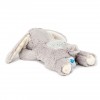 Cloud B - Dream Buddies - Bunny #CB7472-BUG