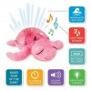 Cloud B - Tranquil Turtle Pink #CB7423-PK