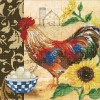 Ψηφιδωτό Diamond Dotz - Country Rooster DD9.049