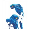 Ψηφιδωτό Diamond Dotz - Blue Parrots DD10.002