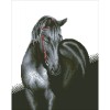 Ψηφιδωτό Diamond Dotz - Midnight Stallion DD10.012