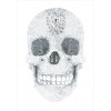 Ψηφιδωτό Diamond Dotz - Crystal Skull DD10.021