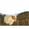 Ψηφιδωτό Diamond Dotz - Bald Eagle & Flag DD13.003