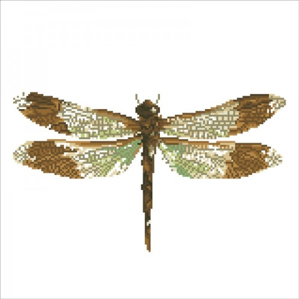 Ψηφιδωτό Diamond Dotz -  Dragonfly Earth DD16.001