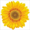 Ψηφιδωτό Diamond Dotz - Happy Day Sunflower DD3.004