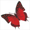 Ψηφιδωτό Diamond Dotz - Flutterby Red DD5.020