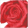 Ψηφιδωτό Diamond Dotz - Rose Dew DD5.039