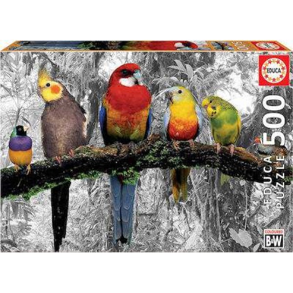 Puzzle Birds On The Jungle 2D 500 Κομμάτια #17984