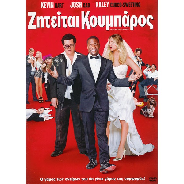 Ζητείται Κουμπάρος - The Wedding Ringer (DVD Used) #18459