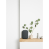 Google Nest Audio - Charcoal #1158470