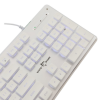 WHITE SHARK LED KEYBOARD GK-003141 TACHI US LAYOUT WHITE