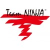 Team Ninja