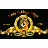 Mgm Interactive