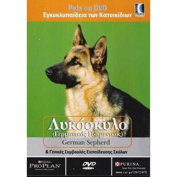 Λυκόσκυλο (Γερμανικός Ποιμενικός)(DVD Used)  #12155