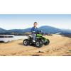 Παιδική Γουρούνα Peg Perego Corral T-Rex 330W #OR0100