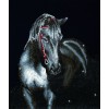 Ψηφιδωτό Diamond Dotz - Midnight Stallion DD10.012