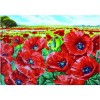 Ψηφιδωτό Diamond Dotz - Red Poppy Field DD10.013